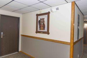 Butte MT attractions