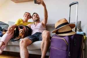 hotel rooms pet friendly