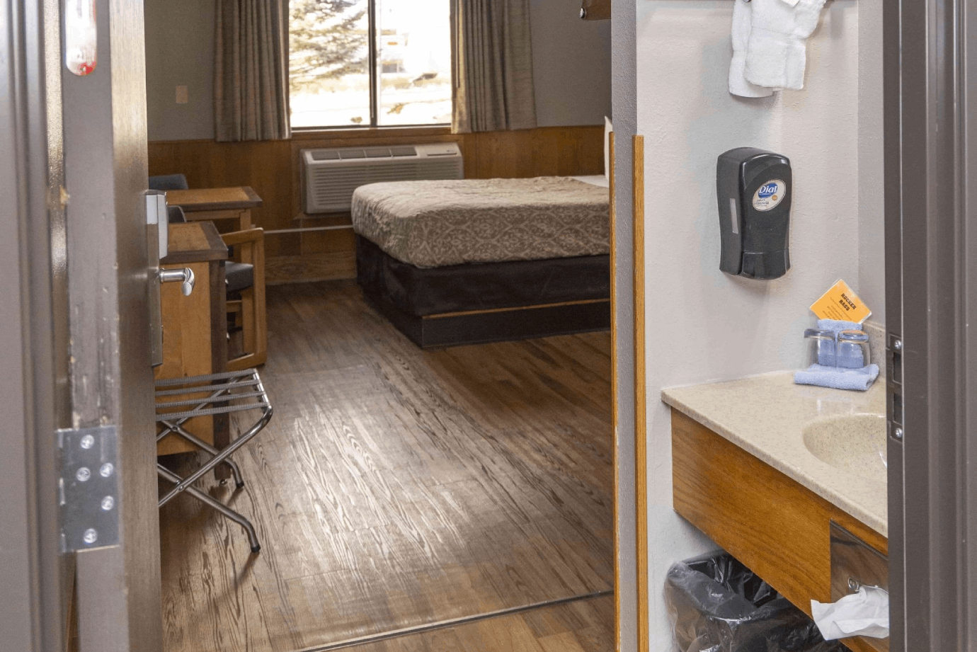 Fun Activities to Do with Your Pet While Staying in a Hotel