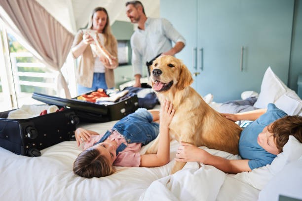 Budget vs. Comfort: Striking the Right Balance in Family Hotels